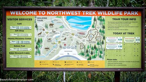 Northwest Trek Wildlife Park