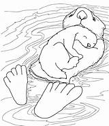 Otter Coloring Pages  Best Coloring Pages For Kids sketch template