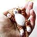 Amazon.com: Artec360 Lazy Cat Needle Felting Kits Lying in Hand ...