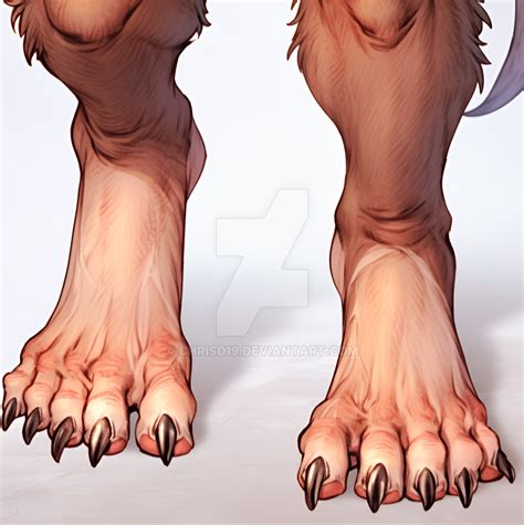 Werewolf Feet by ChrisD19 on DeviantArt