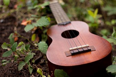 ukulele with dark wood on ground surrounded by dirt and leaves, resting ukulele 4k HD Wallpaper