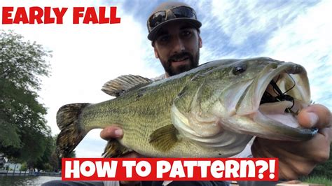 HOW to PATTERN early FALL Largemouth Bass - YouTube