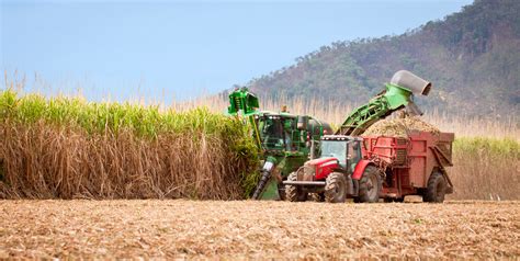 FNQ miller and growers team up to shake up local sugarcane industry - Queensland Alliance for ...