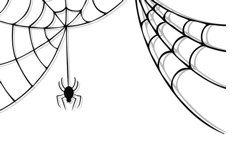 Spiderweb clipart jala, Spiderweb jala Transparent FREE for download on WebStockReview 2024