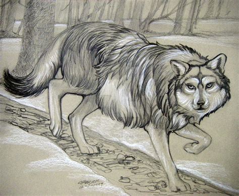 Winter Wolf by HouseofChabrier on DeviantArt