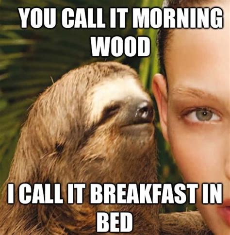 19++ Funny Sloth Memes Clean - Factory Memes