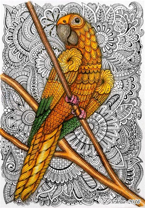 ZENTANGLE HOUSE: Photo | Parrots art, Zentangle animals art, Mandala art lesson