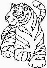 Animal Coloring Pages For Kids  Art & Craft sketch template