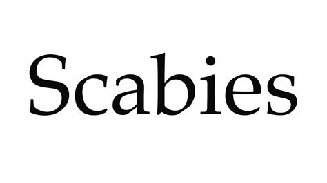 How to Pronounce Scabies - YouTube