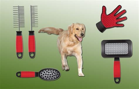 10 Easy To Use Dog Grooming Supplies for First-Time Owner