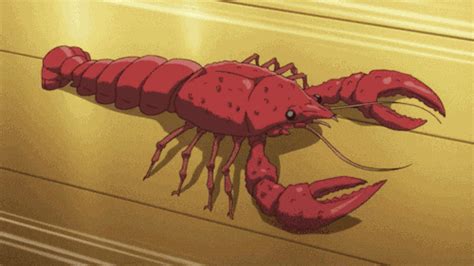 Crayfishlook GIFs - Find & Share on GIPHY