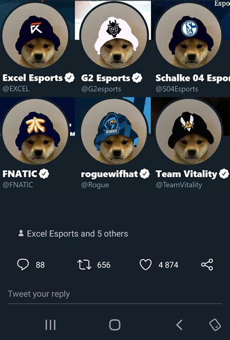 What's up with the meme where a dog wears a esports organisation's merch? It's people's twitter ...