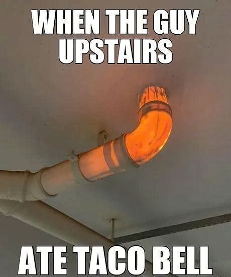 taco bell pictures and jokes / funny pictures & best jokes: comics, images, video, humor, gif ...