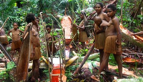 Facts About Korowai Tribe in Southern Papua | Authentic Indonesia Blog