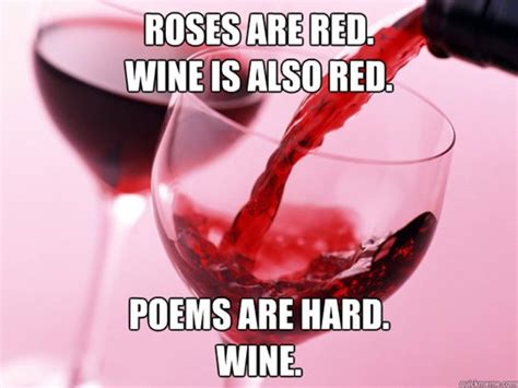 Wine Memes (29 pics)