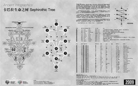 The symbolism behind trees: what do they mean to you? - CGTN