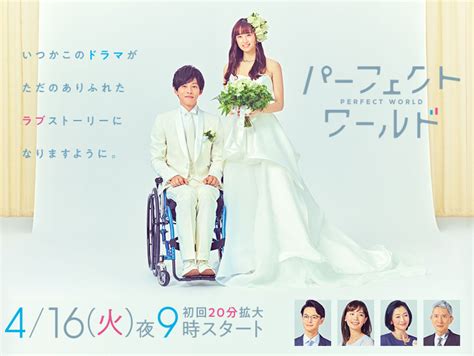 Perfect World (Japanese Drama) - AsianWiki