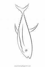 New Tuna Fish Coloring Page For Kids  Free Printable sketch template