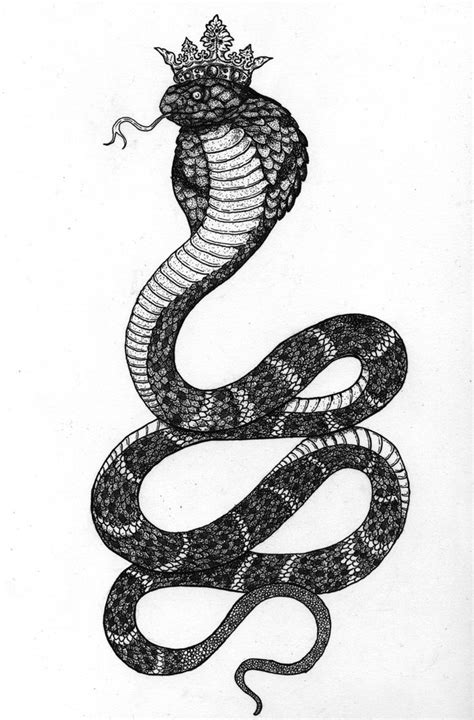 Pin by Rena Bailey on tattoooooo in 2020 | Snake tattoo design, Cobra ...