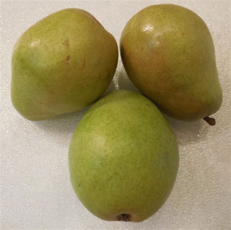 Pears, Anjou - A Fruit Pantry item from Vegan Venue that stay ripe green