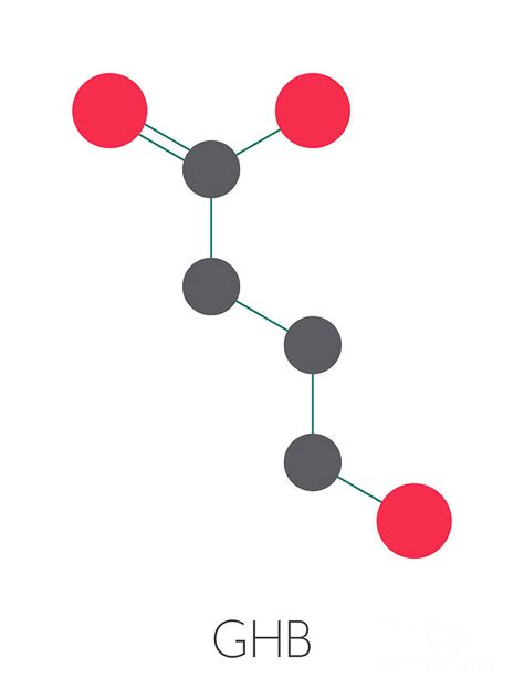 Gamma-hydroxybutyric Acid Molecule #3 Photograph by Molekuul/science ...