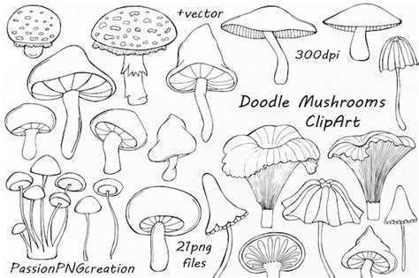 Doodle Mushrooms Clipart Digital Mushrooms Clip Art Hand - Etsy