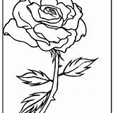 Rose In The Frame coloring Page  Mitraland sketch template