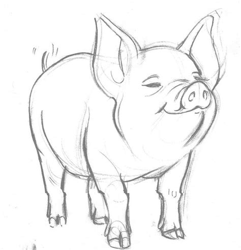 charlottes web sketches | Pig by ~lonelyangelsansa on deviantART ...