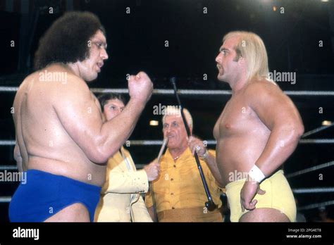 Hulk Hogan Vs Andre The Giant 1980