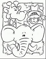 Animal Coloring Pages  Best For Kids sketch template