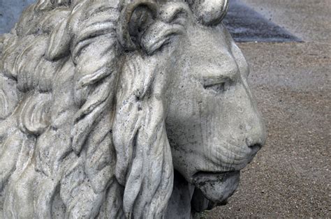 Lion Head Sculpture Free Stock Photo - Public Domain Pictures