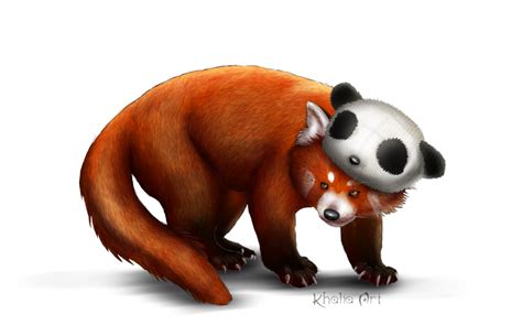 Red Panda PNG Transparent Images - PNG All
