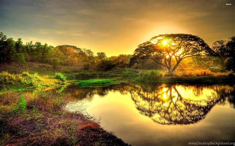 Jungle Sunset Wallpapers - 4k, HD Jungle Sunset Backgrounds on WallpaperBat