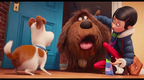 The Secret Life of Pets - Trailer 3 (Universal Pictures) - YouTube