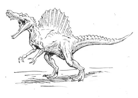 Spinosaurus Sketch Art by TerraReptile on DeviantArt