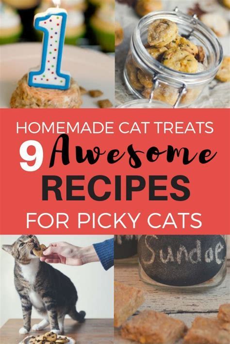 Homemade Cat FOOD Recipe in 2024 | Cat treats homemade, Homemade cat, Homemade cat food