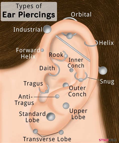 ear piercing diagram | Types of ear piercings, Ear piercings, Ear ...