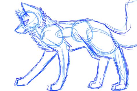 [Sketch] Wolf Body practice by Furea-Flight on DeviantArt