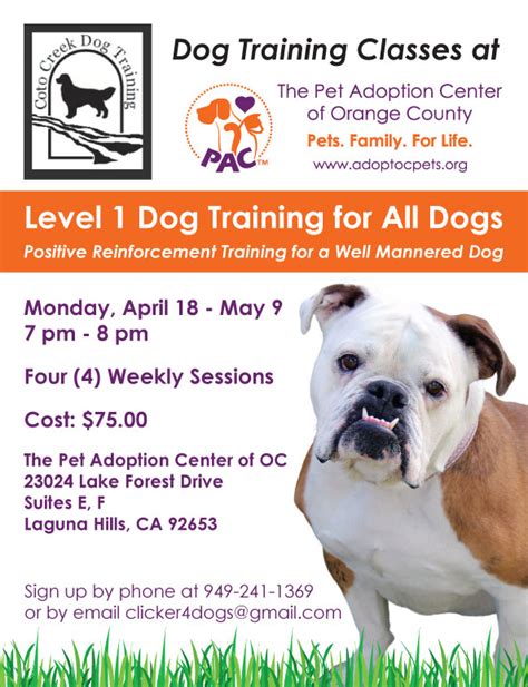 Level 1 Dog Training Classes – The Pet Adoption Center of Orange County