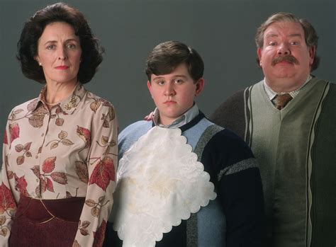 Dursley family | Harry Potter Wiki | Fandom