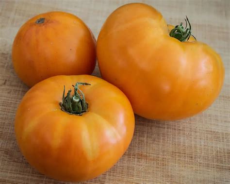 Amana Orange Tomato Seeds: Grow A Flavorful, Colorful Harvest