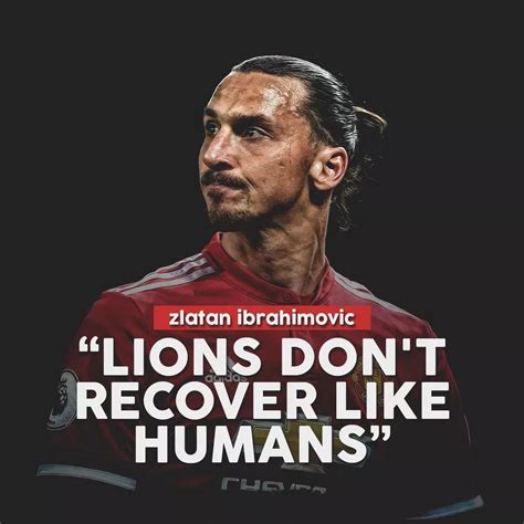 Pin by 黄涛 on Sports | Zlatan quotes, Ibrahimović, Zlatan ibrahimović