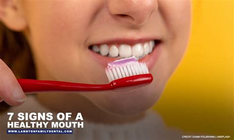 7 Signs of a Healthy Mouth | Lambton Family Dental
