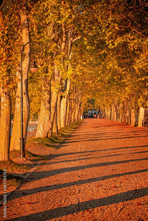 Pathway at lake Balaton in autumn Stock Photo | Adobe Stock