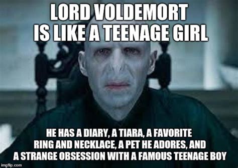 Harry Potter: 10 Hilarious Voldemort Logic Memes That Are Too Funny -- Harry Potter‘s Lord ...