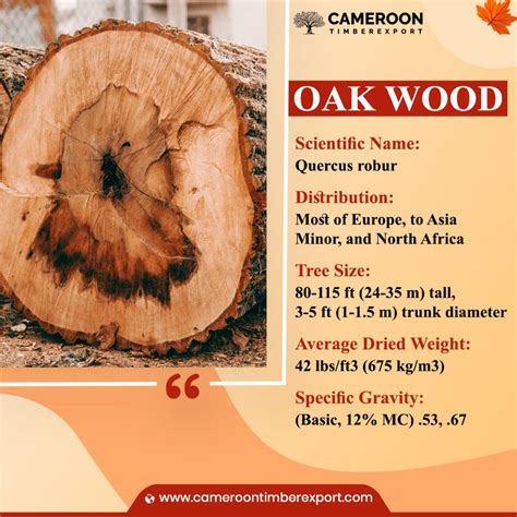 Buy Genuine Oak Wood at Wholesale Price