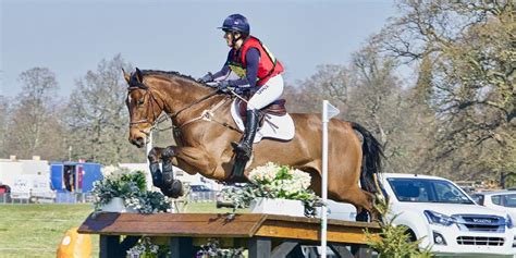 The Swedish Warmblood: All About Sweden’s Most Famous Breed – Insider ...