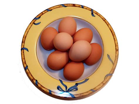 Bowl Of Eggs Free Stock Photo - Public Domain Pictures