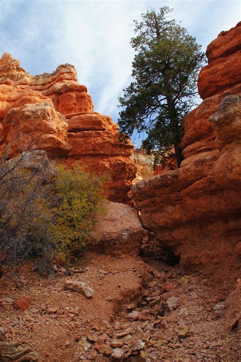 Pink Ledges Trail, Red Canyon State Park, Utah | SomePhotosTakenByMe | Flickr