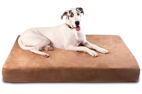 15 Best XXL Dog Beds for Great Danes - Hey, Djangles.